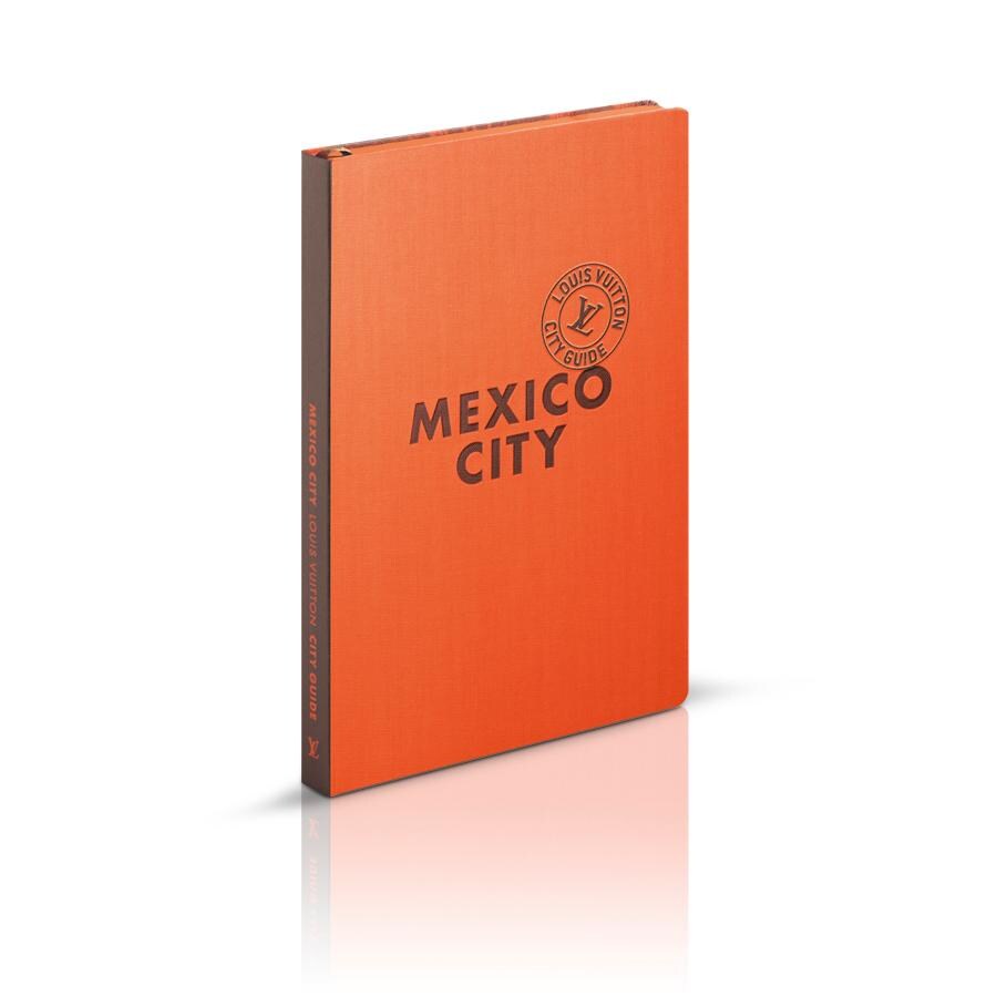 Louis Vuitton Store Mexico Literacy Basics